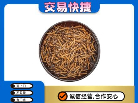 烟台莱州市回收散虫草
